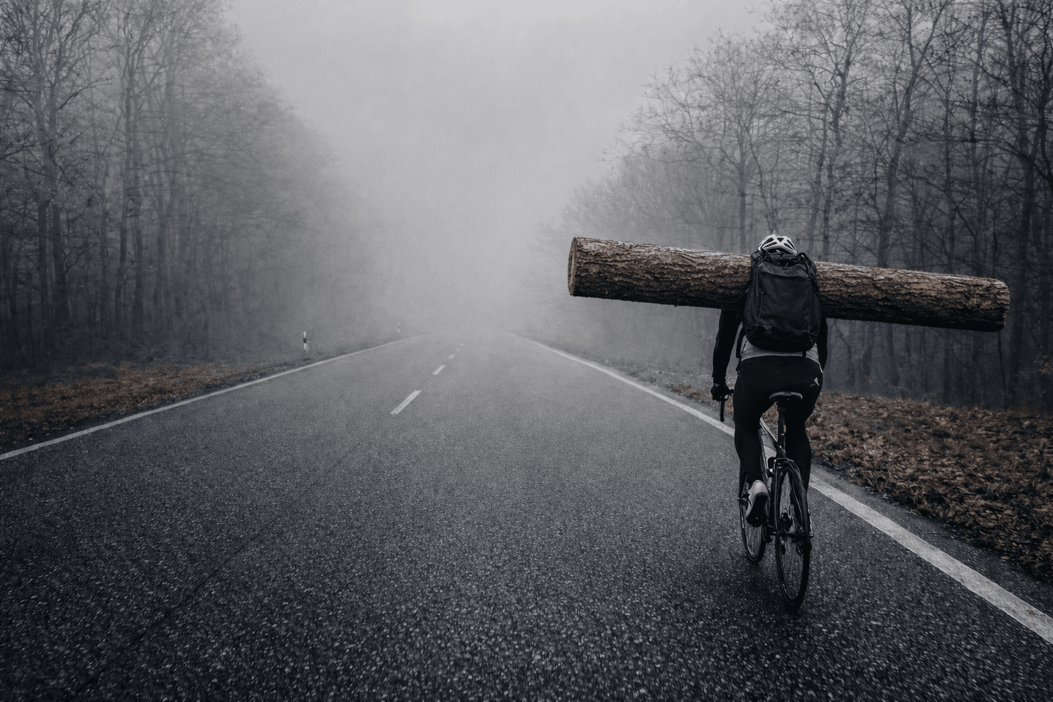 Lone cyclist riding on a foggy forest road, carrying a tree trunk strapped horizontally across his back.